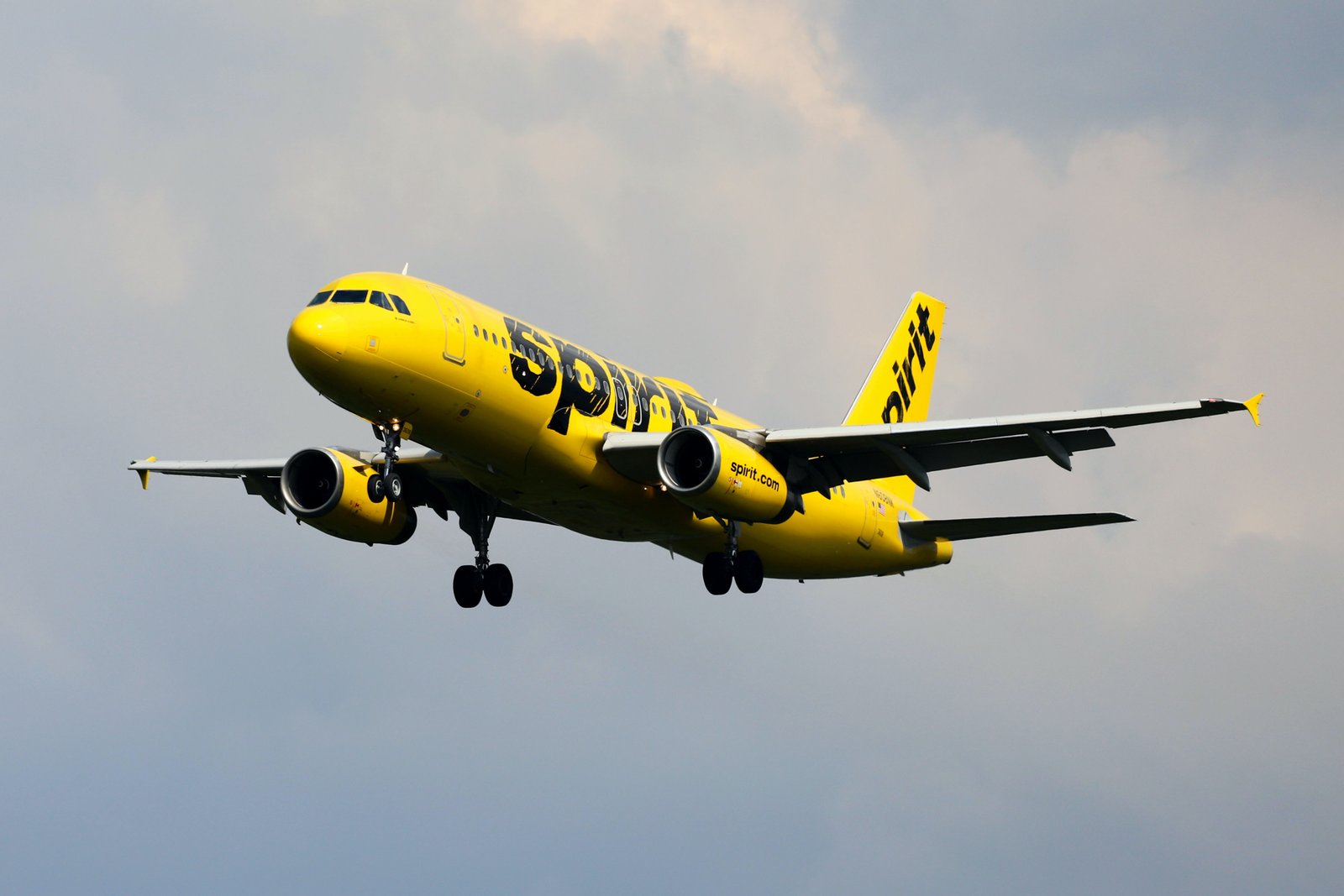 How do I talk to a live person at Spirit Airlines?